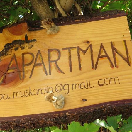 Apartman Biba Lubenice Exterior foto
